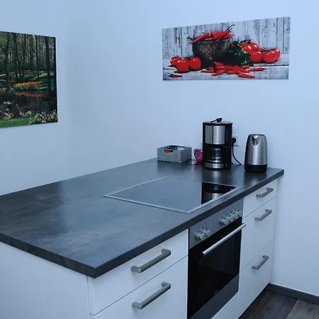 Bonsai-ferienwohnung Appartement Bad Laer