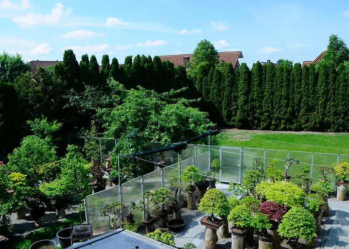Bonsai-ferienwohnung