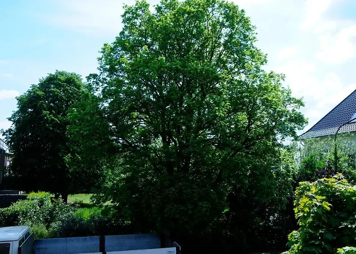 Διαμέρισμα Bonsai-ferienwohnung